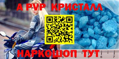 стафф Гатчина