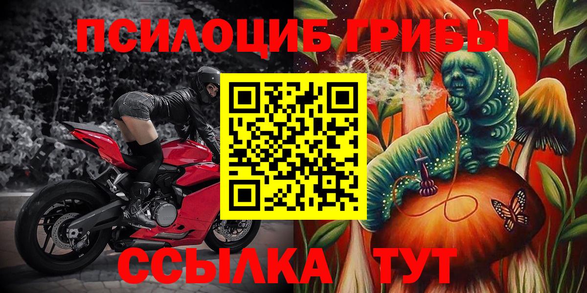 Заводоуковск  Галлюциногенные грибы мицелий  Галлюциногенные грибы MAGIC MUSHROOMS  Вход с VPN 